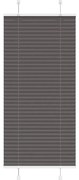 vidaXL Preto Plissada Cega 65x150 cm Largura Tecido 64,4 cm Poliéster
