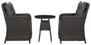 Cadeiras de jardim com mesa de centro 2 pcs vime PE preto