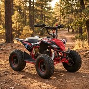 MINI MOTO 4 INFANTIL GASOLINA 50CC MTR MINI KF VERMELHA