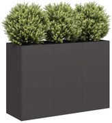 vidaXL Vaso floreira 120x40x80 cm aço laminado a frio preto