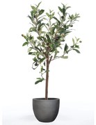 Emerald Mini oliveira artificial 65 cm