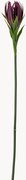 Flores artificiais Lily, conjunto de 2