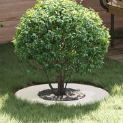vidaXL Anel de Árvore Planalto Branco Ø30/60 cm Aço.