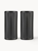 Saleiro e pimenteiro canelados Groove, conjunto de 2