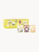 Velas perfumadas artesanais My First Baobab, conjunto de 3