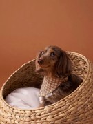 Coleira bandana axadrezada Family, para cão   quadrados castanhos