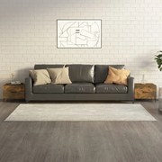 vidaXL Mesas de centro com pernas de metal 2 pcs 50x50x40 cm fumado