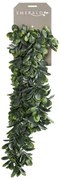 Crassula artificial 80 cm