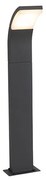 Candeeiro de jardim moderno antracite 60 cm com LED IP54 - Litt Moderno