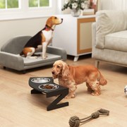 Comedouro elevado para cães com suporte, incluindo 2 tigelas de aço inoxidável de 1 litro, 52,5 x 30 x 16,5 cm, preto