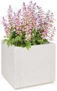 Plantadeira de Jardim vidaXL Branca 36x36x35 cm PP