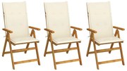 vidaXL Cadeiras de jardim dobráveis c/ almofadões 3 pcs acácia maciça