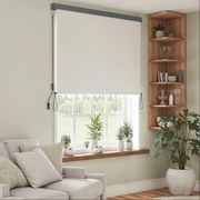 Toldo vertical, extensível 180 x 250 cm, toldo vertical para terraço Bege