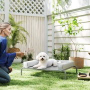 Cama Elevada para Cães com Latertais Amovíveis Cama Elevada para Cães Pequenos Portátil com Malha Respirável 90x65x30 cm Cinza