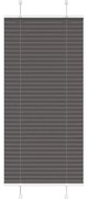 vidaXL Preto Plissada Cega 55x100 cm Largura Tecido 54,4 cm Poliéster