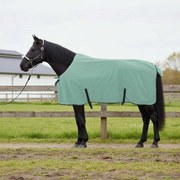 vidaXL Cobertor de Cavalo Verde especial Poliéster