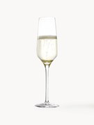 Copos de champanhe de cristal Experience, conjunto de 6