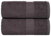 vidaXL Panos FROGN 2 pcs 15x21 cm 360 g/m² antracite
