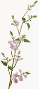 Ramos artificiais Lathyrus Real Touch, conjunto de 2