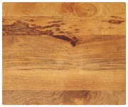 vidaXL Tampo de mesa retangular 60x50x2,5 cm mangueira maciça