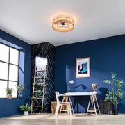 Ventoinha de teto EnergySilence LampAero 600 Natur Design de design com motor DC, com uma potência de 20 W