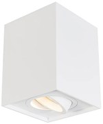 Projetores ajustáveis brancos - Quadro 1 Up