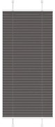 vidaXL Preto Plissada Cega 55x150 cm Largura Tecido 54,4 cm Poliéster