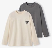 Lote de 2 camisolas com efeito deslavado Jonem, para menino. cru