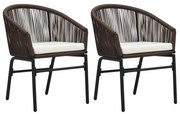 vidaXL Cadeiras de jardim 2 pcs vime PE castanho