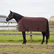 vidaXL Cobertor de Cavalo Marrom Escuro Completo Poliéster