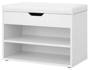 Sapateira VASAGLE LHS20WT com tampa articulada e assento acolchoado, organizador de sapatos com 2 compartimentos, 60 x 30 x 44 cm, branco