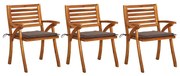 vidaXL Cadeiras de jantar jardim c/ almofadões 3 pcs acácia maciça