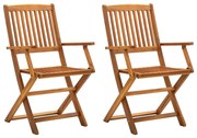 vidaXL Cadeiras de jardim dobráveis 2 pcs madeira acácia maciça