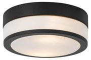 Candeeiro de teto exterior moderno preto 23 cm IP44 - Flavi Moderno
