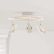 vidaXL Foco de teto Niquel fosco 25 x 24 x 12 cm Aço