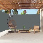 vidaXL Toldo lateral retrátil 200x600 cm antracite
