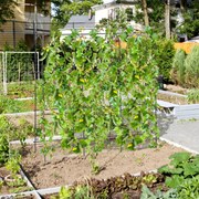 Canteiro de jardim elevado com drenagem de treliça de treliça e caixas de plantio verticais elevadas - Preto
