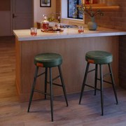 Conjunto de 2 bancos de bar Coleção EKHO 49,5 x 49,5 x 63 cm verde floresta