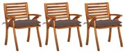 vidaXL Cadeiras de jantar jardim c/ almofadões 3 pcs madeira acácia