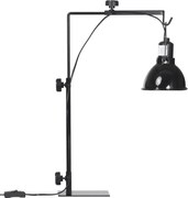 PawHut Suporte de Lâmpada Aquecedora para Répteis Altura e Largura Ajustáveis para Anfíbios Base em Aço 32x9x67 cm Preto | Aosom Portugal