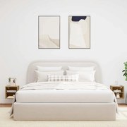 vidaXL Móveis de parede para TV com luzes LED 2 pcs carvalho artesanal