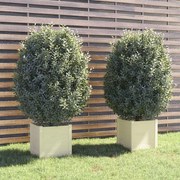 vidaXL Vasos/floreiras de jardim 2 pcs 40x40x40 cm pinho maciço branco
