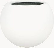 Vaso Kenslia