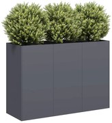 vidaXL Vaso/floreira 120x40x80 cm aço laminado a frio antracite