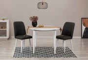 Conjunto de Mesa de Jantar Extensível e Cadeiras Vina – Branco e Antra