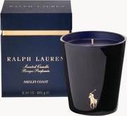 Vela perfumada Amalfi Coast (folha de figo, groselha, madeira clara, galbanum)