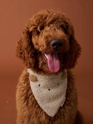 Coleira bandana Family, para cão  cru