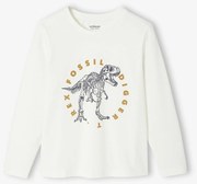 Camisola Basics com motivo, mangas compridas, para menino cru