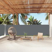 vidaXL Toldo lateral retrátil 160x1000 cm antracite