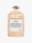 Vela perfumada artesanal Cancer (bergamota e vetiver)